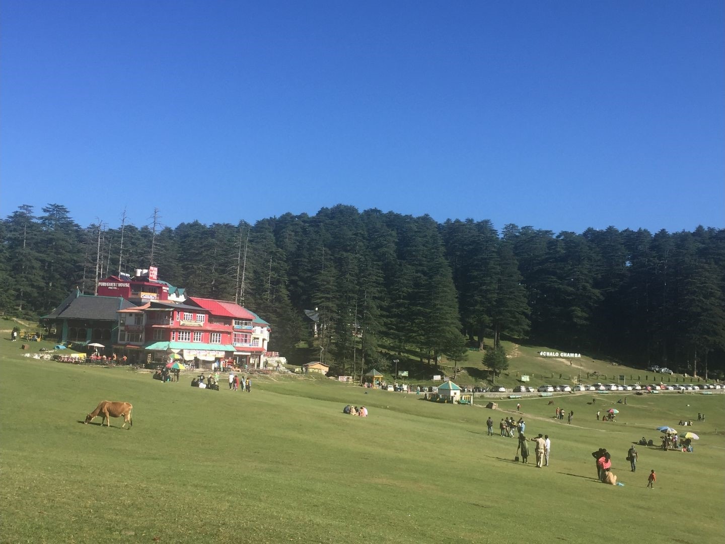 Dalhousie View