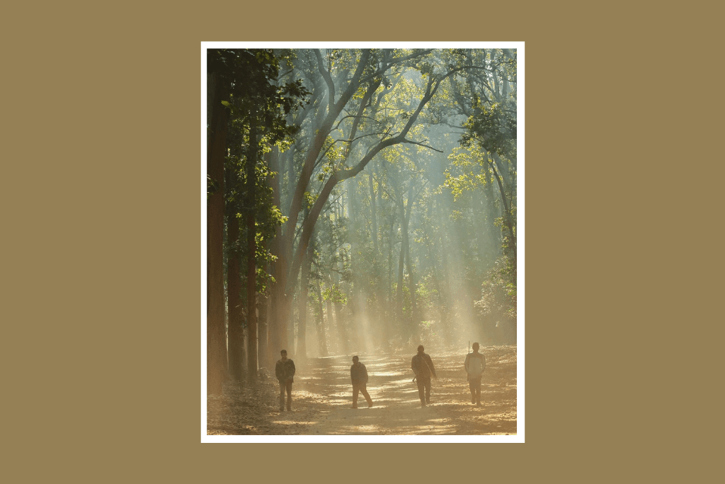 Jim Corbett National Park