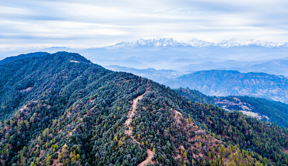 Binsar Hill Station