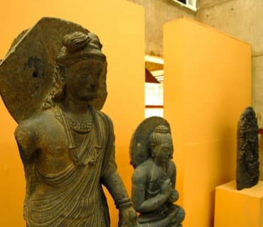 Explore museum
