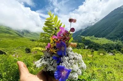 Valley of Flower image by onemileatatime instagram